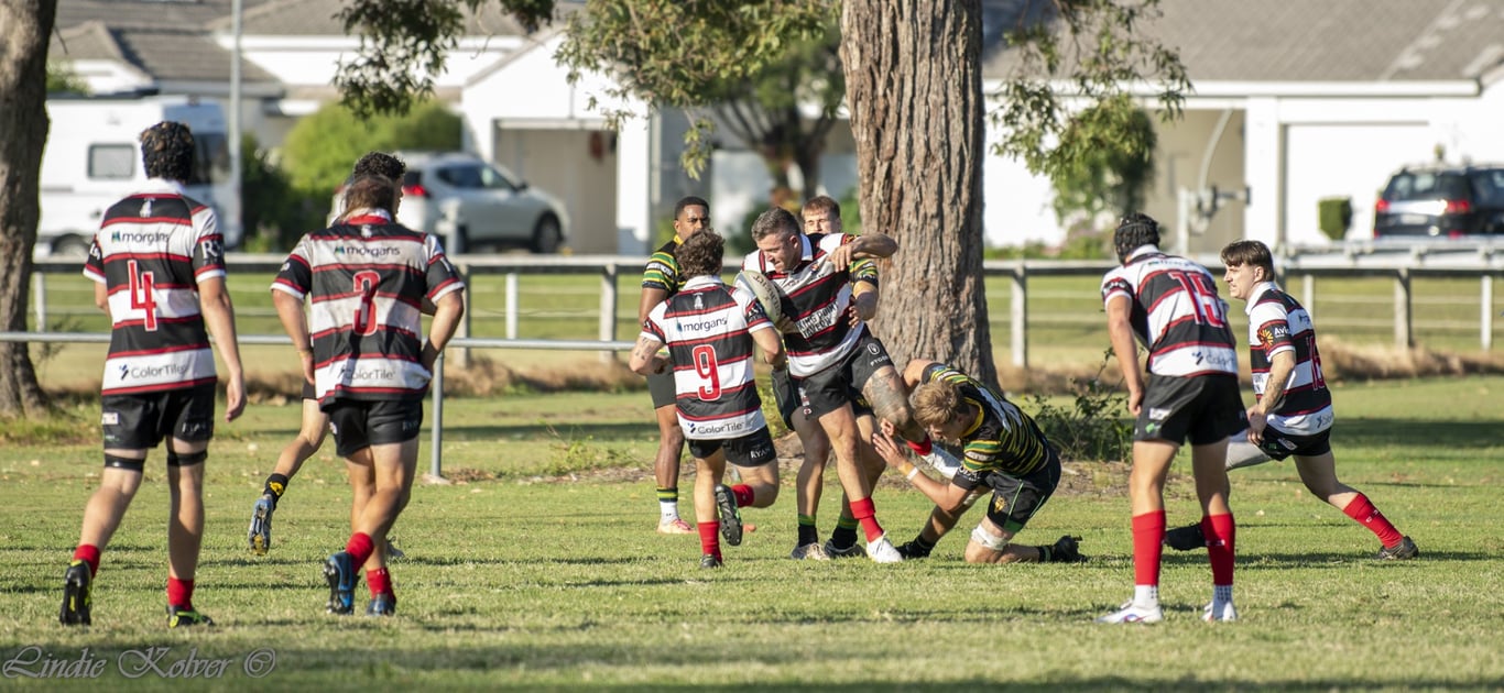 First XV's (198 of 711) (Large).JPG