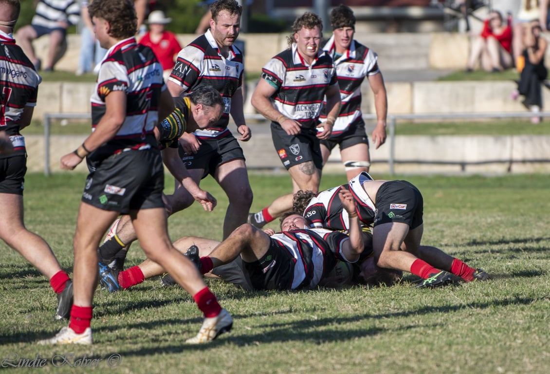 First XV's (237 of 711) (Large).JPG