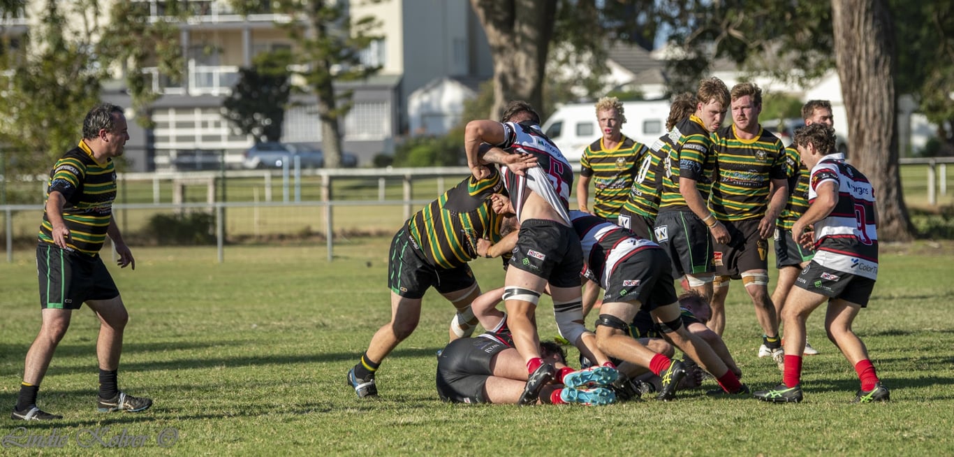 First XV's (126 of 711) (Large).JPG