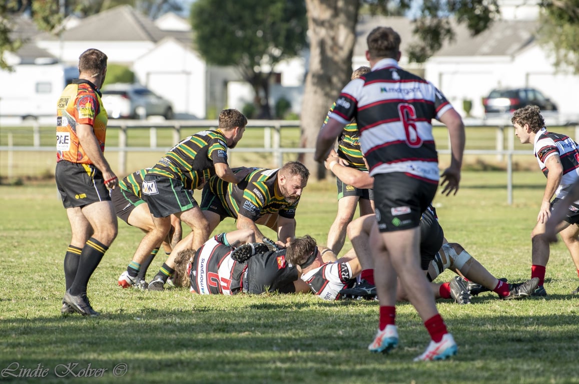First XV's (65 of 711) (Large).JPG