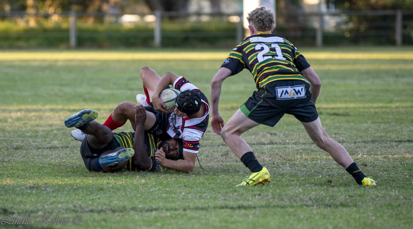 First XV's (590 of 711) (Large).JPG