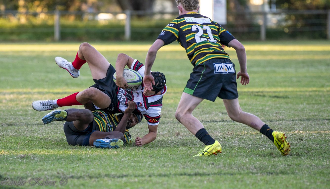 First XV's (591 of 711) (Large).JPG