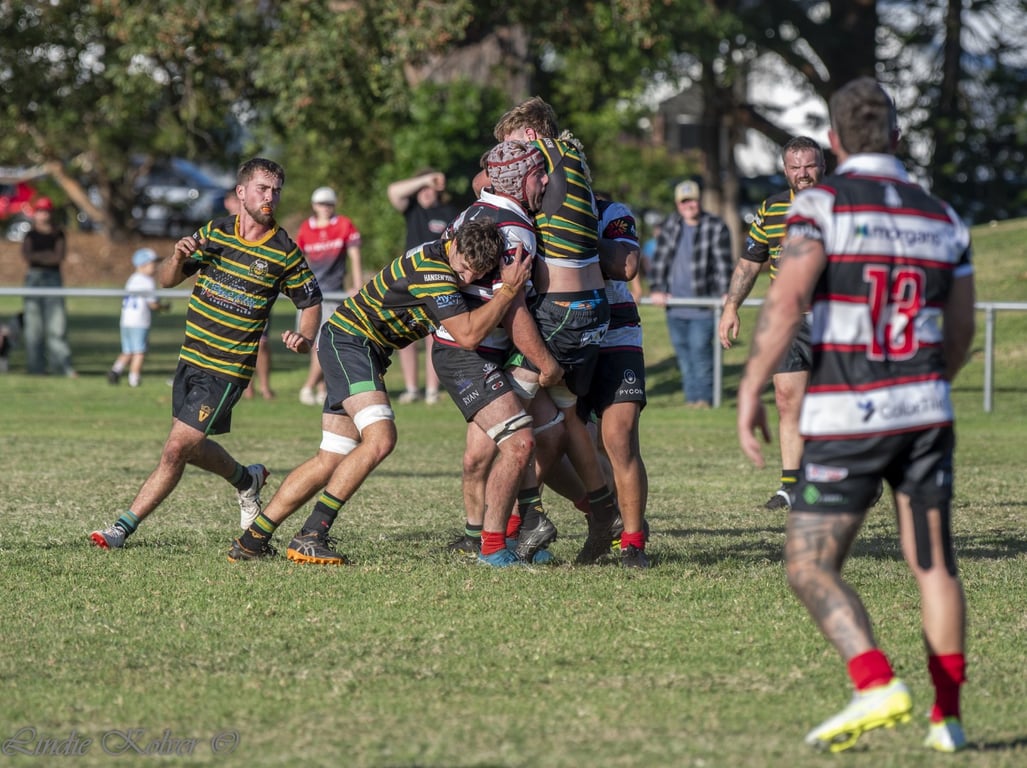 First XV's (212 of 711) (Large).JPG