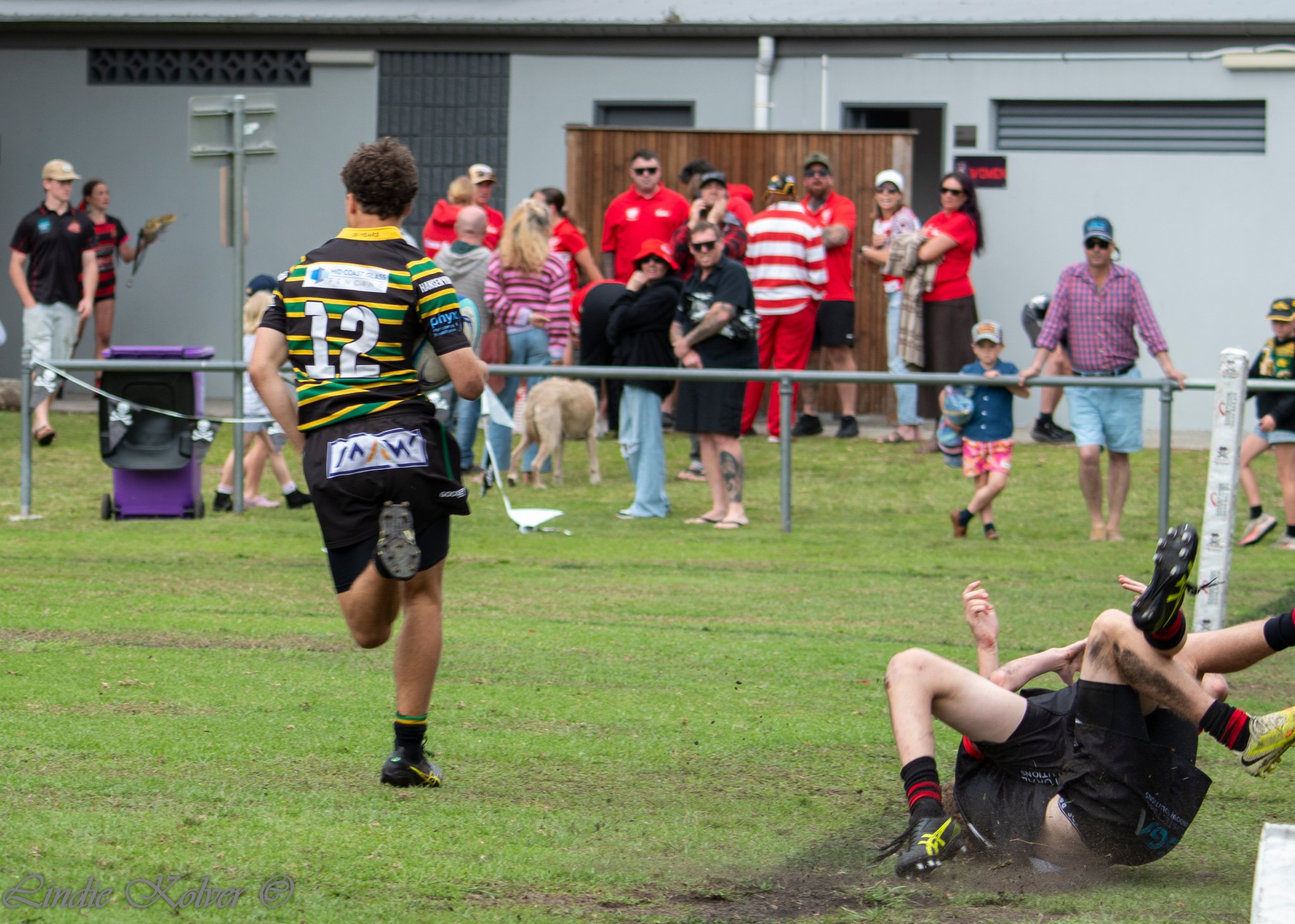 Grand Final U14's (23 of 344).jpg