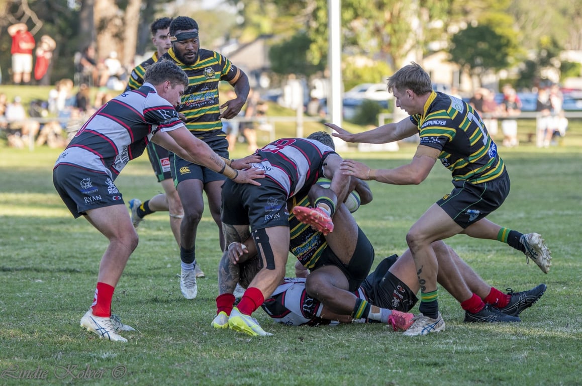 First XV's (468 of 711) (Large).JPG