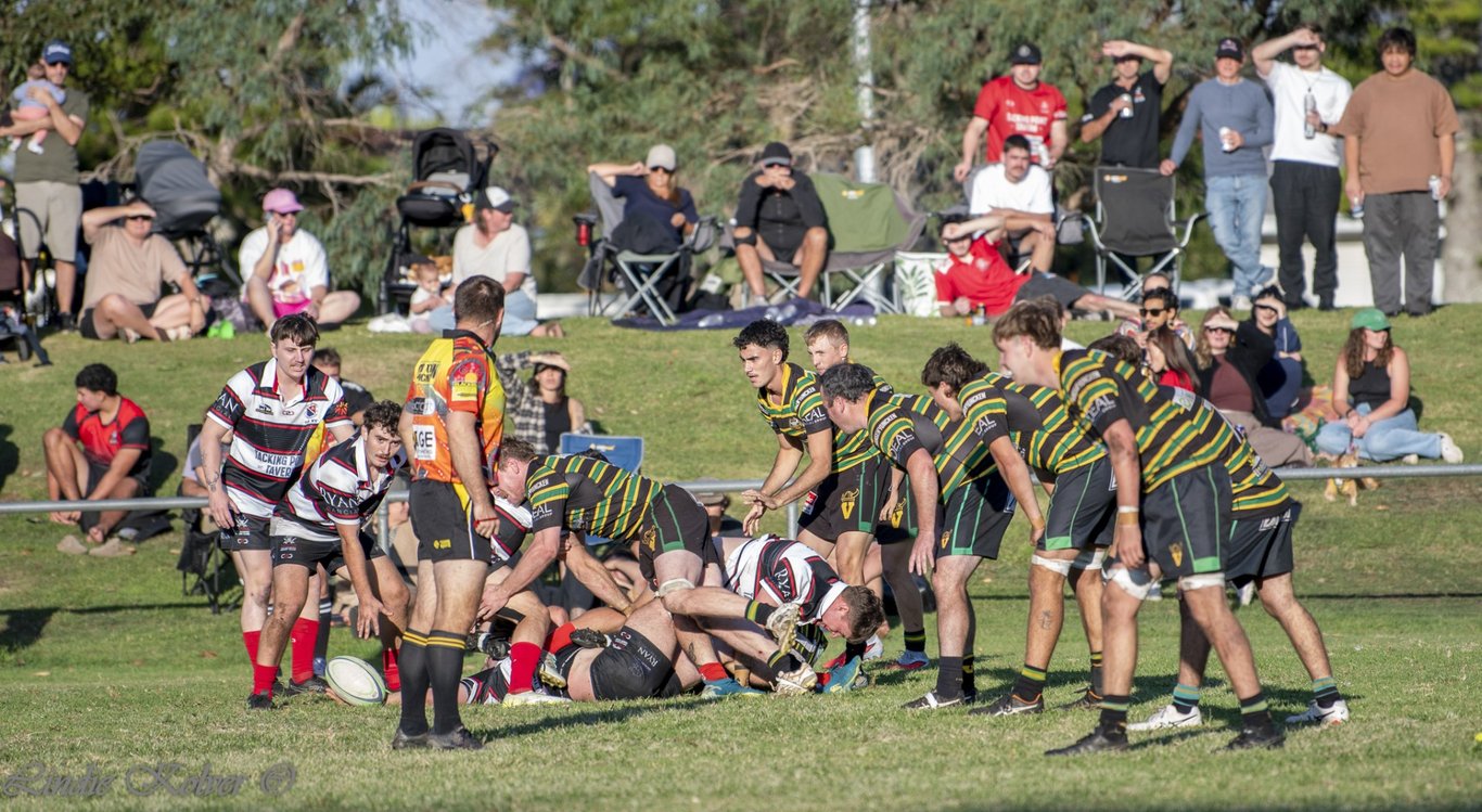 First XV's (392 of 711) (Large).JPG