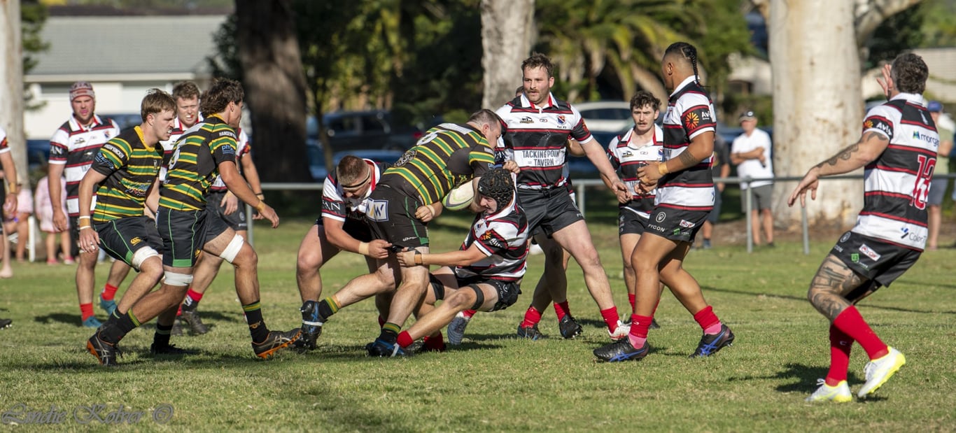 First XV's (40 of 711) (Large).JPG