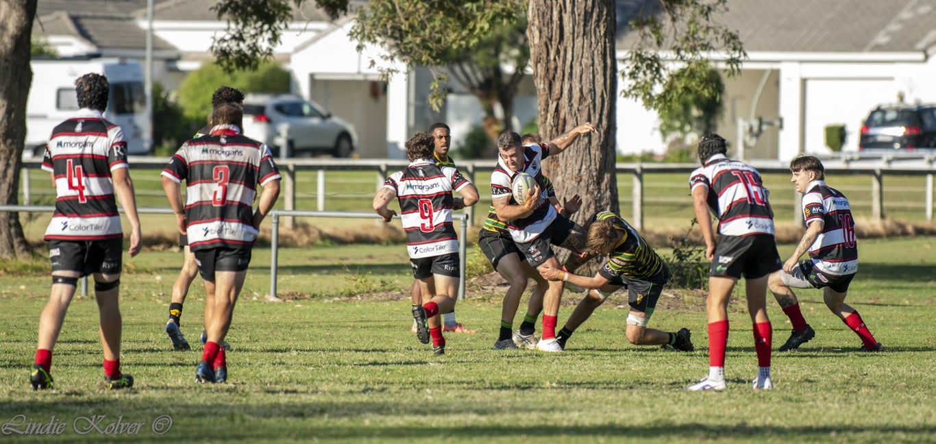 First XV's (197 of 711) (Large).JPG