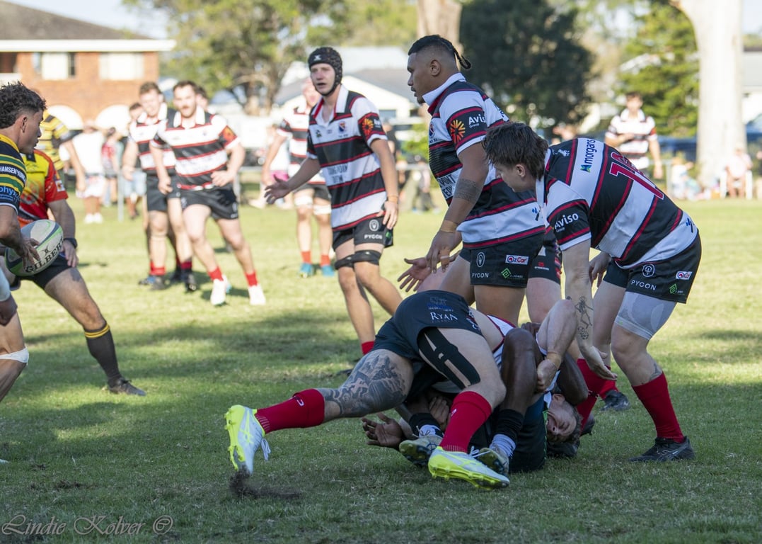 First XV's (33 of 711) (Large).JPG