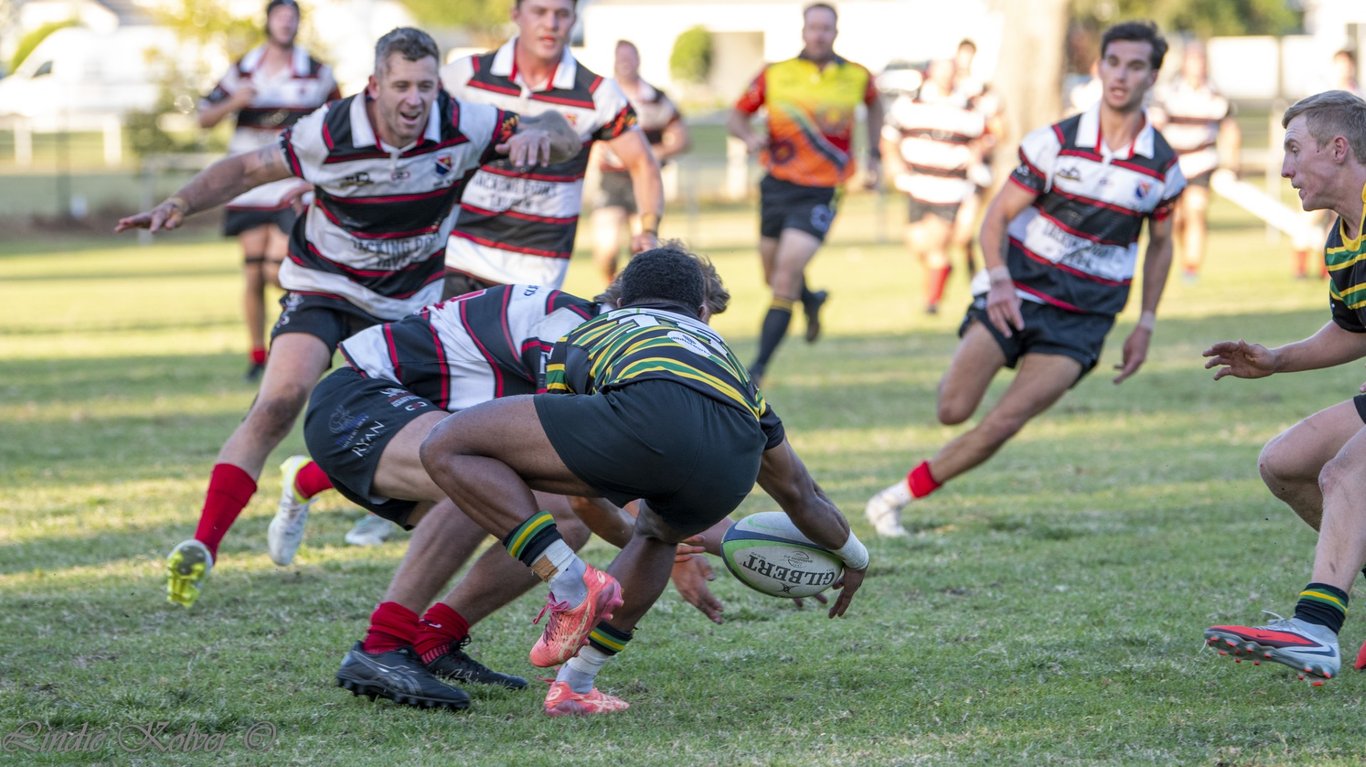 First XV's (555 of 711) (Large).JPG