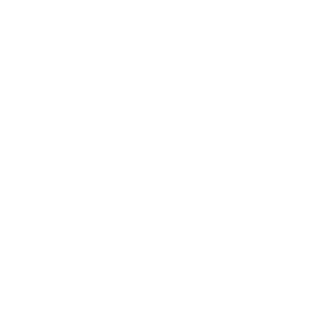 <b>AI Chatbot Integration</b>